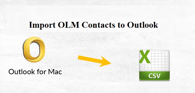 export contacts from Outlook to Excel