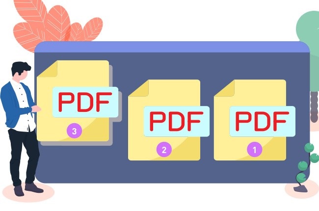 Show Page Numbers in PDF