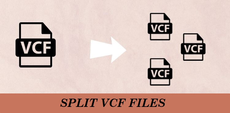 split vcf into multiple files
